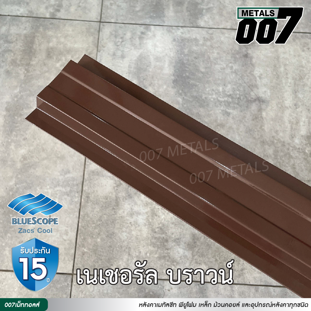 ลอนรั้ว บลูสโคป กว้าง 10 ซม. สีเนเชอรัล บราวน์