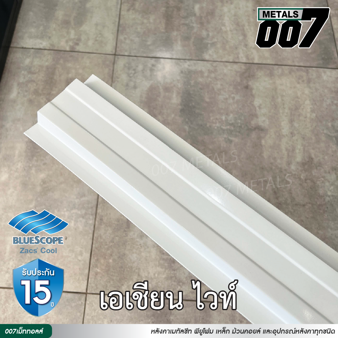 ลอนรั้ว บลูสโคป กว้าง 10 ซม. สีเอเชียน ไวท์